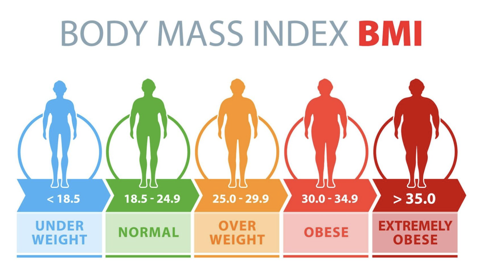 BMI chart